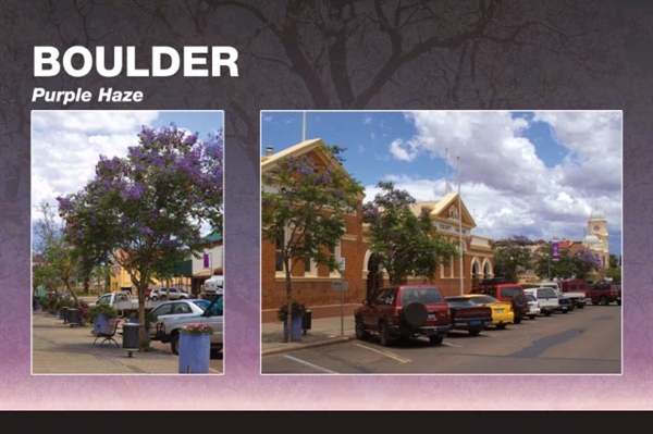 Historic Burt Street, archived photograph 4