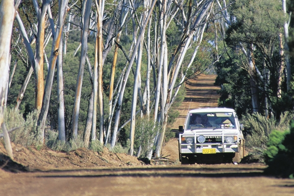 The Green Trail, archived photograph 4