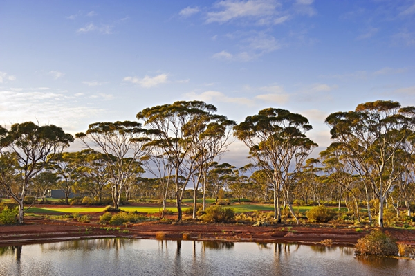 Kalgoorlie Golf Course, archived photograph 3
