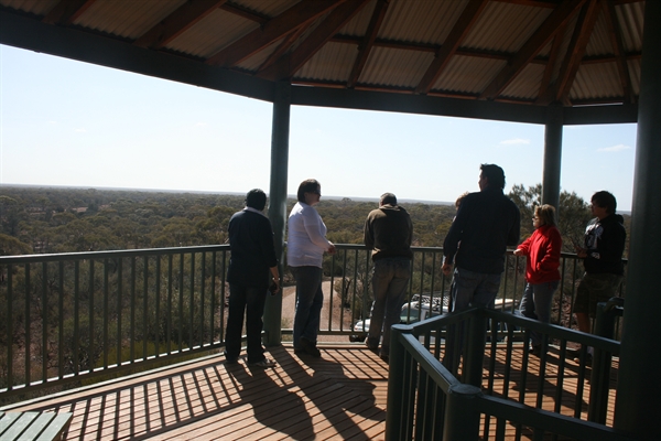 Karlkurla Bushland Park, archived photograph 2