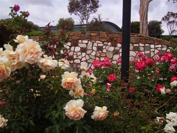 Kambalda Memorial Garden, archived photograph 3
