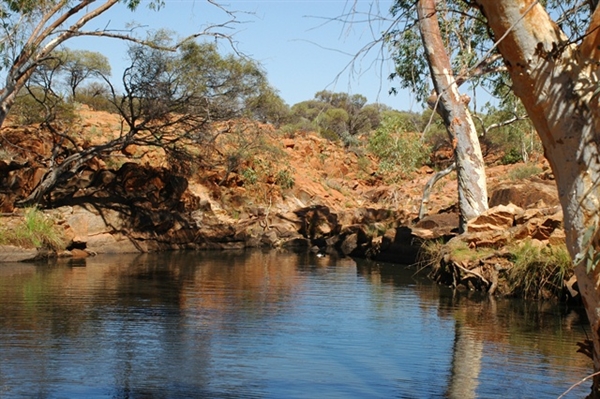 Waterholes, Wells & Springs, archived photograph 3