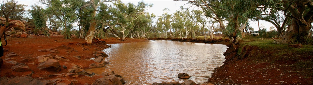 Wiluna