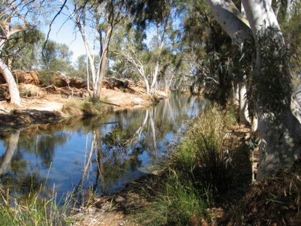 Waterholes, Wells & Springs, archived photograph 4
